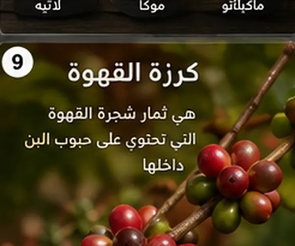 أنواع القهوة السعودية بالصور